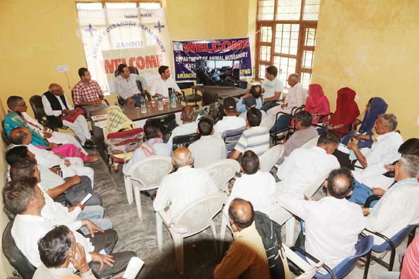 Animal Husbandry Department conducts massive Awareness campaign in Kathua  district - Jammu Links News