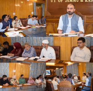 DC Pulwama chairs DLRS meeting