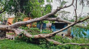 Two dead, 23 injured in storm-related incidents i...