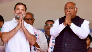 "Turn tide in favour of NYAY": Congress appeals s...