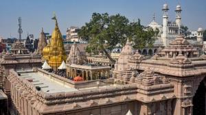 Gyanvapi case: Varanasi court rejects plea to tra...