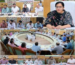DDC Kupwara chairs DLRC meet; emphasizes financia...
