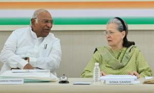 Lok Sabha polls: Mallikarjun Kharge, Sonia Gandhi...