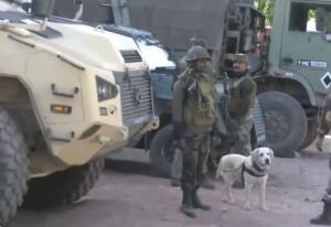 Search operation underway in Poonch following ter...