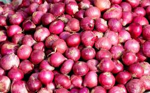 Govt lifts onion export ban imposes minimum expor...
