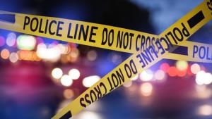Woman killed by VDG member in accidental firing i...