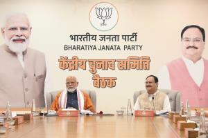 BJP CEC meeting over, first list for Lok Sabha po...