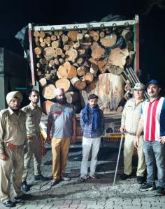 2 trucks loaded with firewood seized