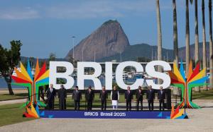BRICS remains a powerful force for global good: P...