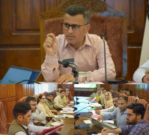 DC Bandipora chairs District Skill Committee meet