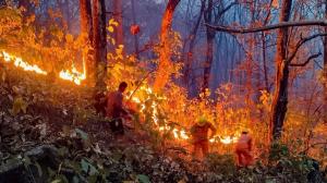 Forest fires under control but challenges persist...