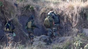 Searches underway after villagers report suspicio...