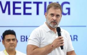"In name of Make in India we are merely assemblin...