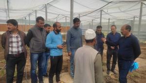 Director Agriculture Kashmir conducts extensive v...