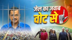 AAP campaign song gets poll body approval after m...