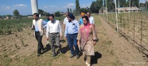 Director Horticulture Kashmir conducts extensive ...