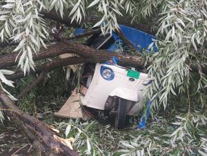Strong winds wreak havoc in Srinagar; uproot tree...