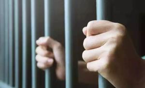 ‘Inhuman conditions in prisons’: DLCs to assess c...