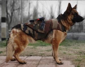 Army pays tributes to first assault canine dog in...