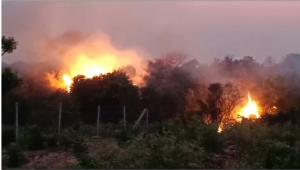 Mines explode after forest fire along LoC in Poon...