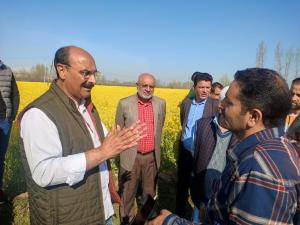Director Agriculture Kashmir visited oilseed fiel...