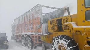 BRO rescues 35 vehicles stranded in snow at Razda...
