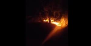 Massive fire rages in Darhal forest of Rajouri di...