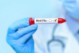 WHO confirms first death from bird flu strain inf...