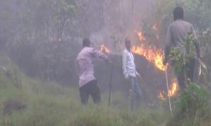Rajouri forest fire disrupts normal life, locals ...