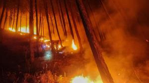 Wildfires flare up again in Uttarakhand after bri...