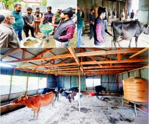 DDC Kishtwar inspects Cow Shelter in Town